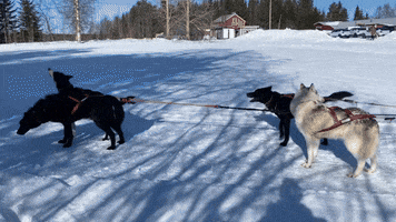 Waiting To Take Off GIF