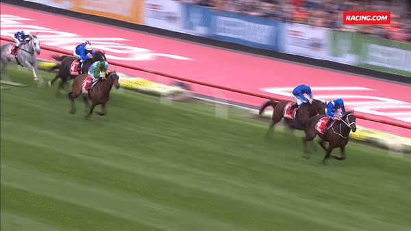 World Horse Racing GIF
