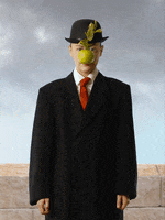 200.gif?cid=fc005b080fa0c1ed85db15e61b455a151b45210eca40e932&rid=200.gif&ct=g
