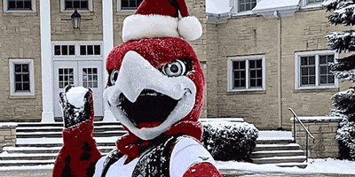 Fun Snow GIF by Ripon College