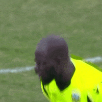 200.gif?cid=fc005b08fa8e39609fbd2db675b166834099b85c73de3d34&rid=200.gif&ct=g