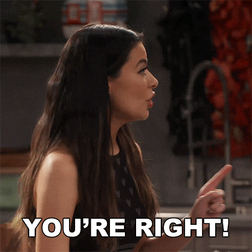 You Are Correct Gif