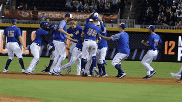 Durham Bulls GIF