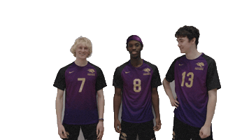 Volleyball Gopanthers Sticker by University of Brighton
