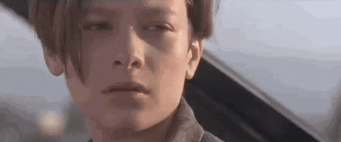 T2 GIF