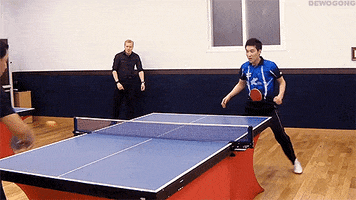 ping pong win GIF