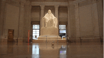 star wars space GIF by The Franklin Institute