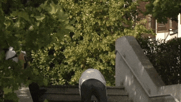Tomek Przybylik GIF