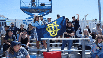 Water Polo Celebration GIF by UCI Athletics