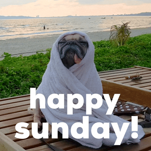 Giphy - Happy Sunday Dog GIF by GIPHY Studios Originals