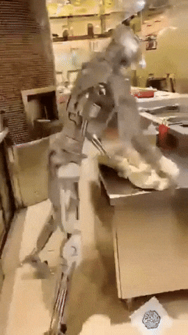 Robot Hump GIF