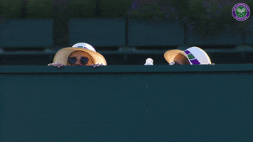 fence peek GIF by Wimbledon
