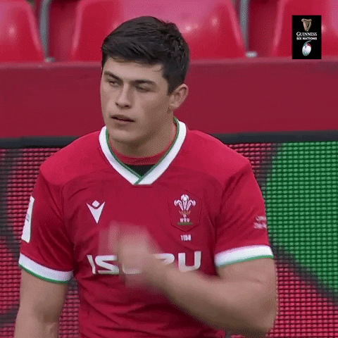 Lets Go Sport GIF by Guinness Six Nations