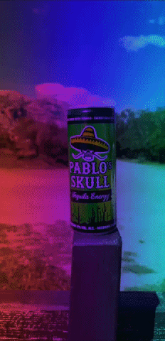 GIF by pablos skull