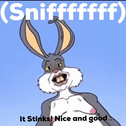Bunny Stinks GIF