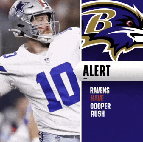 Baltimore Ravens GIF