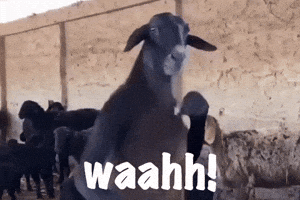 Wah Wah Wah GIF