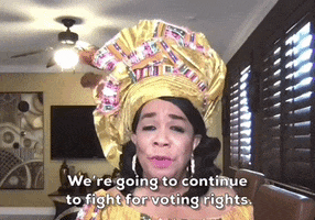 Voting Rights Florida GIF by GIPHY News
