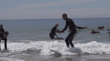 Aviva Solutions GIF