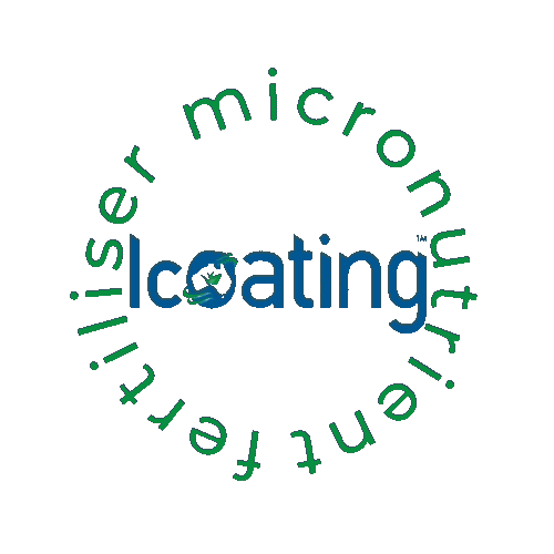 SONIC ESSENTIALS Sticker