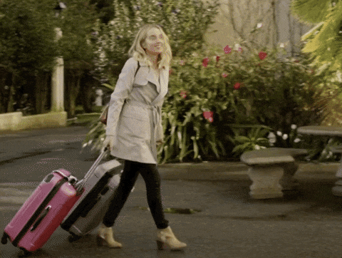 Luggages Packed Up GIF - Luggages Packed Up Trolleys - Discover & Share GIFs