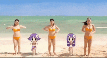 Japan Okinawa GIF