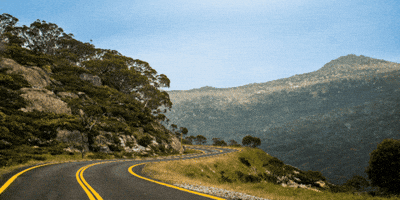 Kirk Shaw GIF