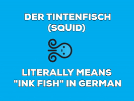 Tintenfisch GIF