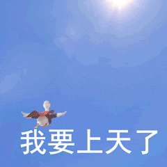 Animation GIF