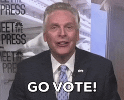 Terry Mcauliffe Go Vote GIF by GIPHY News