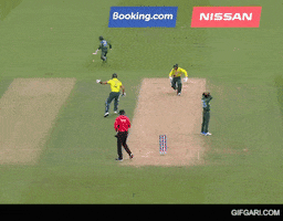 Run Out Bangladesh Cricket GIF by GifGari