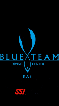 Blueteam Dalış GIF