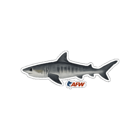 Big Game Tiger Sticker by AFW Fishing Brands