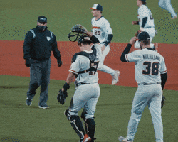 Celebrate GIF by Oregon State Baseball