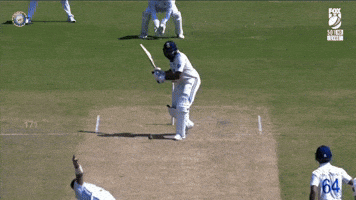 Mumbai Indians India GIF