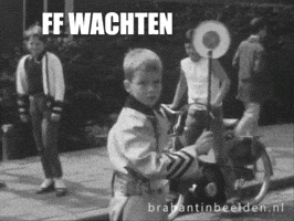 Stop Halt GIF by BrabantinBeelden
