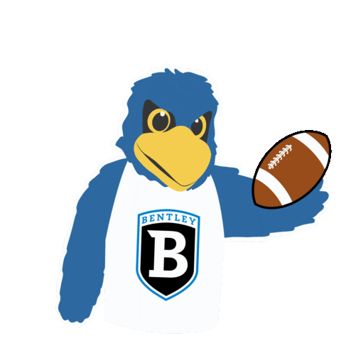 Football Falcons Sticker by Bentley University
