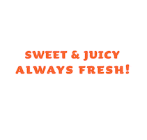 shopinlove Sticker