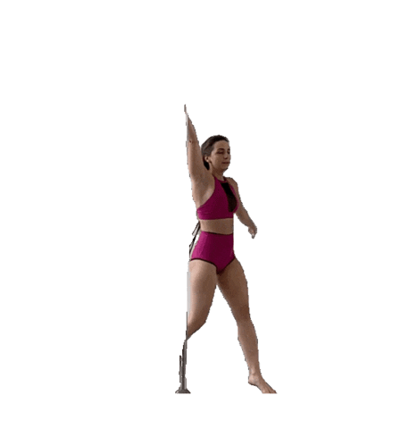 Pole dance academy Praha Sticker