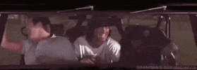 Monkey GIF