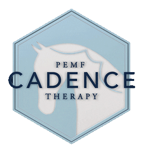 Pemf Cadencetherapy Sticker