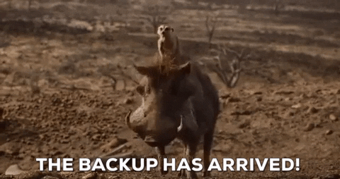 The Lion King 2019 GIF - Find & Share on GIPHY