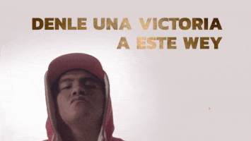 GIF by VictoriaCerveza