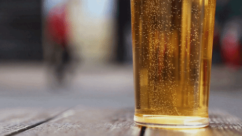 Beer GIF - Find & Share on GIPHY