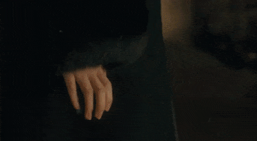 Fur GIF