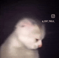 Tuff GIF