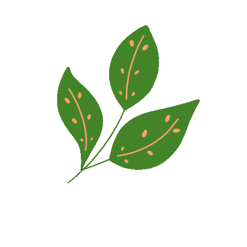 Animated Sticker