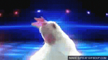 chicken joy GIF