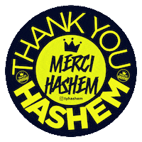 Tyhashem Sticker by Thank You Hashem