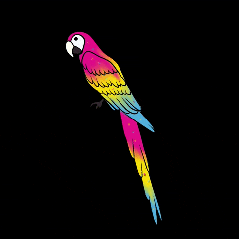 Art Rainbow GIF